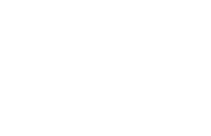 logo-its